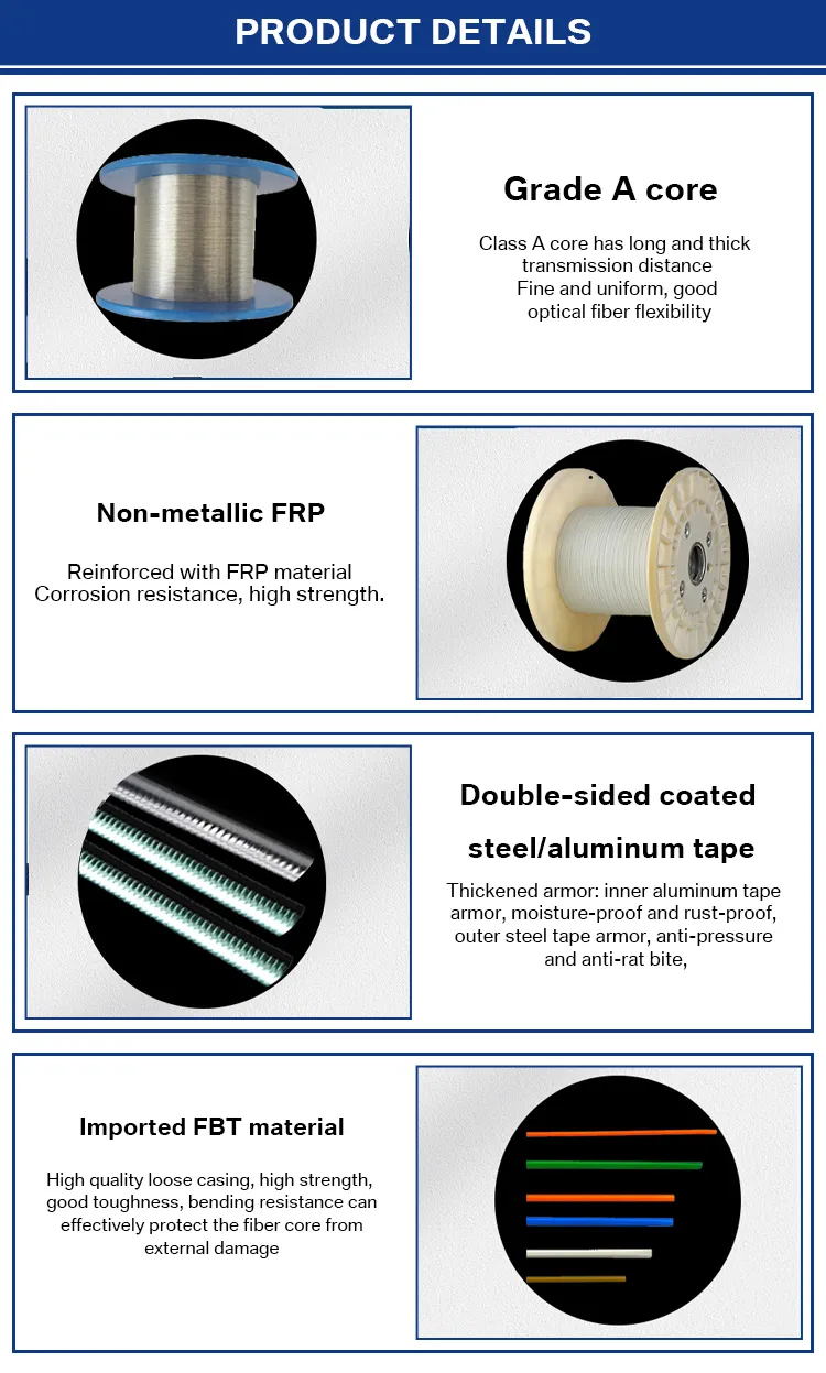 GYFTA53 Double Jacket Double Armoured Direct Buried Outdoor FGYFTA53 Single Mode Frp Non-metallic 12 Core Fiber Optic Cable details